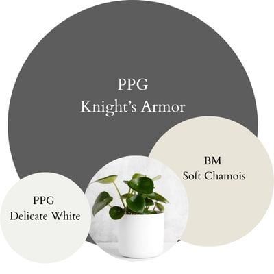 PPG Knight's armor Modern Minimalist paint Color Palette - Pinterest graphic 