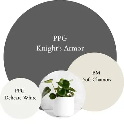 PPG Knight's armor Modern Minimalist paint Color Palette - Pinterest graphic
