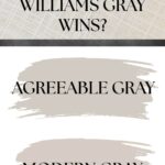 Which Sherwin Williams Gray Wins -Agreeable Gray vs Modern Gray - Pinterest Graphic