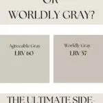 Agreeable Gray or Worldly Gray- The Ultimate Side-by-Side Comparison Pinterest Graphic