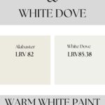 Alabaster vs White Dover- Warm White Paint Comparison Pinterest Graphic