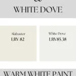 Alabaster vs White Dover- Warm White Paint Comparison Pinterest Graphic