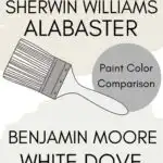 Side-by-side comparison of Sherwin Williams Alabaster and Benjamin Moore White Dove. A paint color expert’s guide from West Magnolia Charm