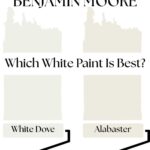 White Dove vs Alabaster Which White Paint Is Best” - pinterest graphic