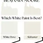 White Dove vs Alabaster Which White Paint Is Best” - pinterest graphic