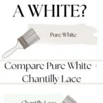Can’t Pick a White Compare Pure White Chantilly Lace- pinterest graphic