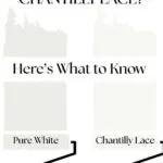 Choosing Between Pure White vs Chantilly Lace Here&rsquo;s What to Know - pinterest graphic