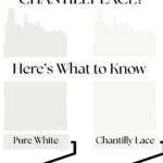 Choosing Between Pure White vs Chantilly Lace Here’s What to Know - pinterest graphic