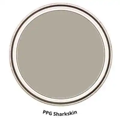 PPG Sharkskin Digital Paint Can swatch
