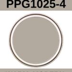 PPG Sharkskin Paint Color Review- pinterest graphic