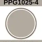 PPG Sharkskin Paint Color Review- pinterest graphic