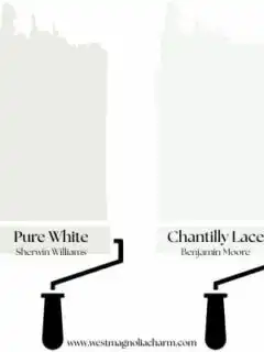 Pure White or Chantilly Lace digital swatches