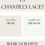 White Paint Battle Which White Paint Is Better Pinterest Graphic