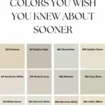 12 Stunning Neutrals you wish you knew about sooner- Pinterest graphic