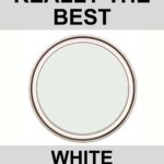 Decorator\'s White- Is this really the best pint color - pinterest graphic