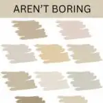Neutral Paint Colors that aren't boring - Pinterest Graphic