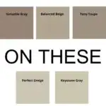 dont pass on these Sherwin WIlliams Taupe Paint Colors - Pinterest Graphic