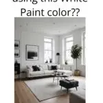 thinking about using this white pinterest graphic