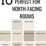10 Paint Colors Perfect for North-Facing Rooms- Pinterest graphic
