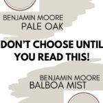 Pale Oak or Balboa Mist Don&rsquo;t Choose Until You Read This Pinterest graphic
