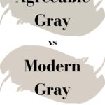 Agreeable Gray vs Modern Gray- Which Paint Color Is Better Pinterest Graphic