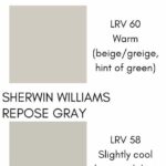 Agreeable Gray vs Repose Gray A Real-Life Paint Comparison graphic