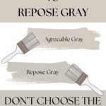 Agreeable Gray vs Repose Gray -pinterest graphic