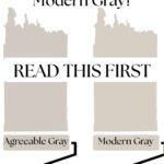Choosing Between Agreeable Gray and Modern Gray Here&rsquo;s What to Know - pinterest graphic