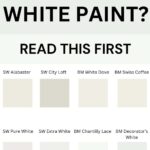 Choosing White Paint Read This First - digital graphic