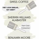 Alabaster vs Swiss Coffee vs White Dove They look similar… but aren’t graphic