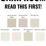 Best Paint Colors for Dark Rooms &ldquo;Dark room Read this first&rdquo;- Pinterest graphic
