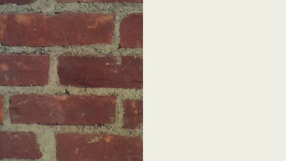 Brick and White Dove