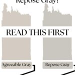 Choosing Between Agreeable Gray and Repose Gray Here’s What to Know