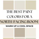 Paint Colors Perfect for North-Facing Rooms- Pinterest graphic
