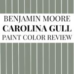Benjamin Moore Carolina Gull Review A Sophisticated Green Paint Color - Pinterest Graphic