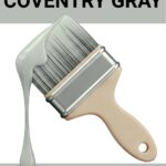 Benjamin Moore Coventry Gray HC-169 Review Is This the Perfect Medium Gray - pinterest graphic