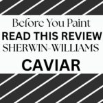 Sherwin-Williams Caviar SW 6990 Review A Rich, Dramatic Black Paint Color - pinterest graphic