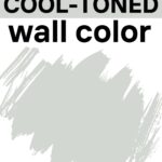 Sherwin-Williams Reflection SW 7661 Review A Soft Blue-Gray with a Serene Feel - Pinterest Graphic