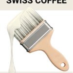 Benjamin Moore Swiss Coffee OC-45 Review Is This the Perfect Warm White - pinterest graphic