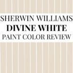 Sherwin-Williams Divine White SW 6105 Review A Warm, Cozy White Worth Considering - Pinterest Graphic