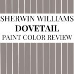 Sherwin-Williams Dovetail SW 7018 Review A Rich, Sophisticated Gray with Depth Pinterest graphic-