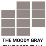 Sherwin-Williams Dovetail SW 7018 Review A Rich, Sophisticated Gray with Depth Pinterest graphic-