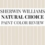 Sherwin-Williams Natural Choice SW 7011 Review A Warm, Welcoming Off-White- Pinterest Graphic