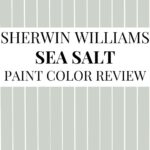 Sherwin-Williams Sea Salt Review Is This the Perfect Soft Green-Blue - Pinterest Graphic