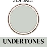 Sherwin-Williams Sea Salt Review Is This the Perfect Soft Green-Blue - Pinterest Graphic