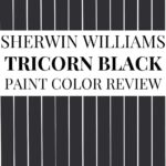Sherwin-Williams Tricorn Black SW 6258 Review Is It the Perfect Black - Pinterest Graphic