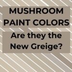 The Best Mushroom Paint Colors for a Warm, Earthy Home - pinterest graphic
