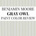 Benjamin Moore Gray Owl OC-52 Review A Popular Light Gray with Tricky Undertones- Pinterest Graphic