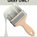 Benjamin Moore Gray Owl OC-52 Review A Popular Light Gray with Tricky Undertones- pinterest graphic