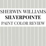 Sherwin-Williams Silverpointe SW 7653 Review A Light, Airy Cool Gray- Pinterest Graphic